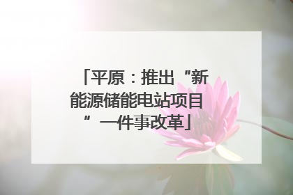平原：推出“新能源储能电站项目”一件事改革