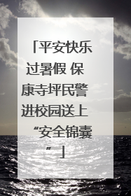 平安快乐过暑假 保康寺坪民警进校园送上“安全锦囊”