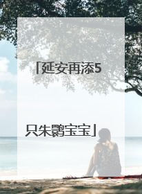 延安再添5只朱鹮宝宝