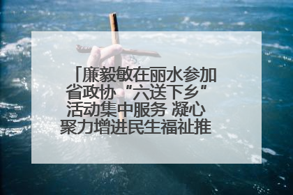 廉毅敏在丽水参加省政协“六送下乡”活动集中服务 凝心聚力增进民生福祉推进共同富裕