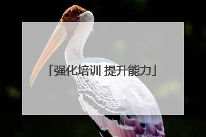 强化培训 提升能力