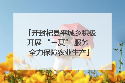 开封杞县平城乡积极开展 “三夏” 服务 全力保障农业生产