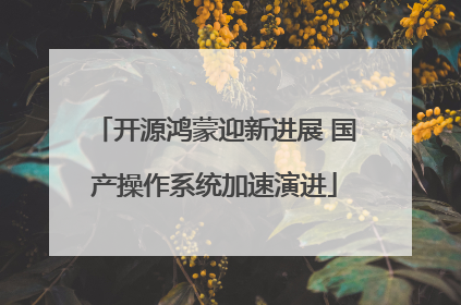 开源鸿蒙迎新进展 国产操作系统加速演进