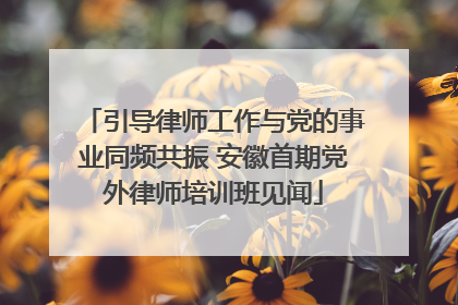 引导律师工作与党的事业同频共振 安徽首期党外律师培训班见闻