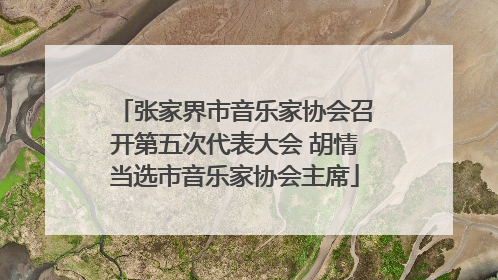 张家界市音乐家协会召开第五次代表大会 胡情当选市音乐家协会主席