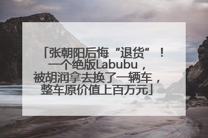 张朝阳后悔“退货”！一个绝版Labubu，被胡润拿去换了一辆车，整车原价值上百万元