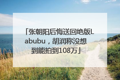 张朝阳后悔送回绝版Labubu，胡润称没想到能拍到108万