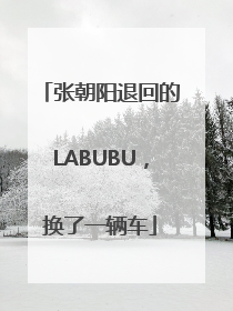 张朝阳退回的LABUBU，换了一辆车