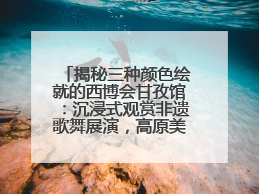 揭秘三种颜色绘就的西博会甘孜馆：沉浸式观赏非遗歌舞展演，高原美味从头吃到尾