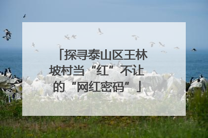 探寻泰山区王林坡村当“红”不让的“网红密码”