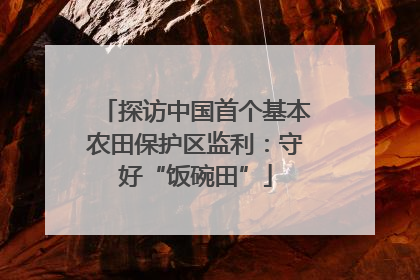 探访中国首个基本农田保护区监利：守好“饭碗田”