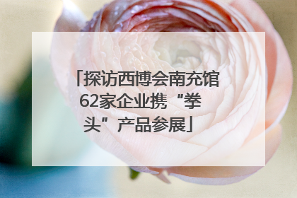 探访西博会南充馆 62家企业携“拳头”产品参展