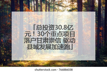 总投资30.8亿元！30个重点项目落户甘肃崇信 驱动县域发展加速跑