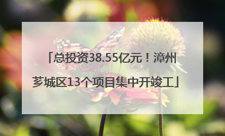 总投资38.55亿元！漳州芗城区13个项目集中开竣工