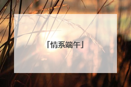 情系端午