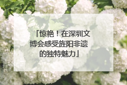 惊艳！在深圳文博会感受旌阳非遗的独特魅力