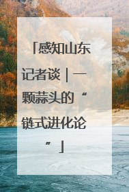 感知山东记者谈｜一颗蒜头的“链式进化论”