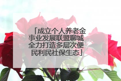 成立个人养老金事业发展联盟聊城全力打造多层次便民利民社保生态