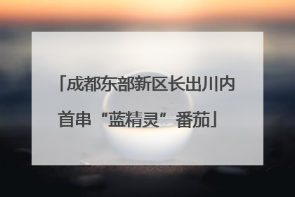 成都东部新区长出川内首串“蓝精灵”番茄