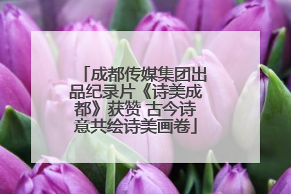 成都传媒集团出品纪录片《诗美成都》获赞 古今诗意共绘诗美画卷