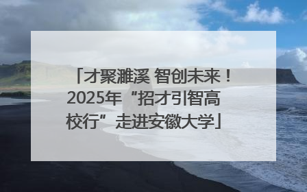 才聚濉溪 智创未来！2025年“招才引智高校行”走进安徽大学
