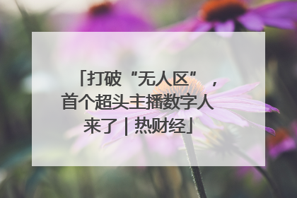 打破“无人区”，首个超头主播数字人来了｜热财经