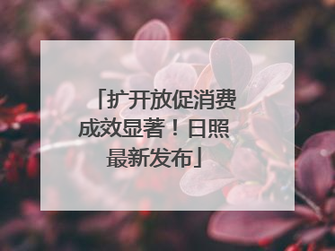 扩开放促消费成效显著！日照最新发布