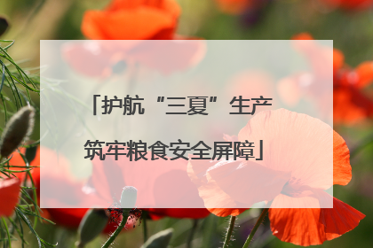 护航“三夏”生产 筑牢粮食安全屏障