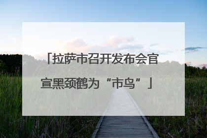 拉萨市召开发布会官宣黑颈鹤为“市鸟”
