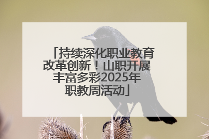 持续深化职业教育改革创新！山职开展丰富多彩2025年职教周活动