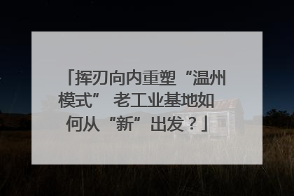 挥刃向内重塑“温州模式” 老工业基地如何从“新”出发？