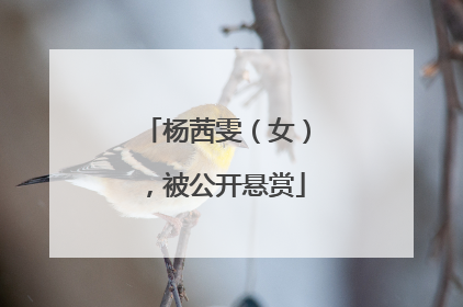 杨茜雯（女），被公开悬赏