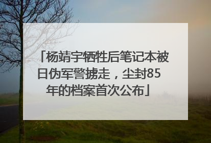 杨靖宇牺牲后笔记本被日伪军警掳走，尘封85年的档案首次公布