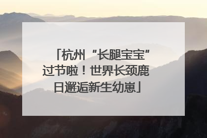 杭州“长腿宝宝”过节啦！世界长颈鹿日邂逅新生幼崽