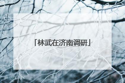 林武在济南调研