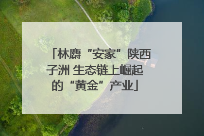 林麝“安家”陕西子洲 生态链上崛起的“黄金”产业