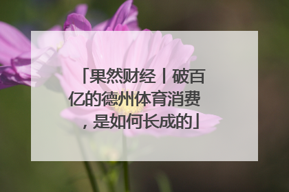 果然财经丨破百亿的德州体育消费，是如何长成的