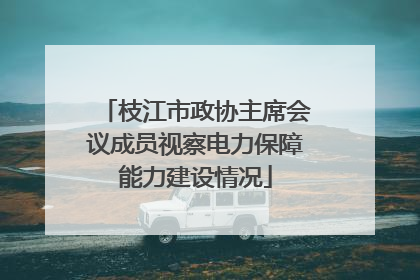 枝江市政协主席会议成员视察电力保障能力建设情况