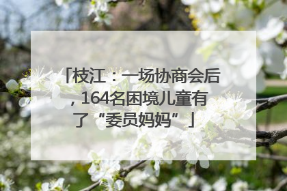 枝江：一场协商会后，164名困境儿童有了“委员妈妈”