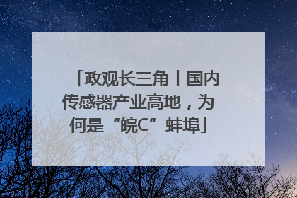 政观长三角丨国内传感器产业高地，为何是“皖C”蚌埠
