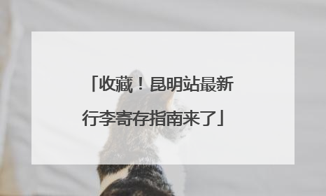 收藏！昆明站最新行李寄存指南来了