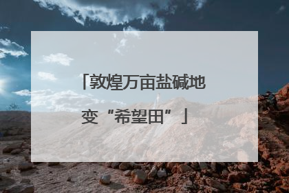 敦煌万亩盐碱地变“希望田”