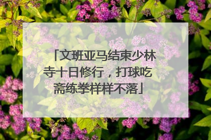 文班亚马结束少林寺十日修行，打球吃斋练拳样样不落