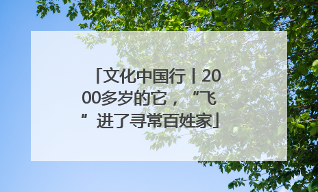 文化中国行丨2000多岁的它，“飞”进了寻常百姓家