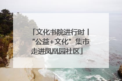 文化书院进行时丨“公益+文化”集市走进凤凰园社区