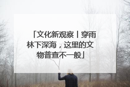 文化新观察丨穿雨林下深海，这里的文物普查不一般