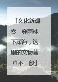 文化新观察｜穿雨林下深海，这里的文物普查不一般