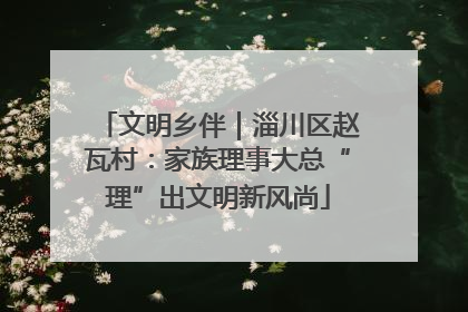 文明乡伴｜淄川区赵瓦村：家族理事大总“理”出文明新风尚
