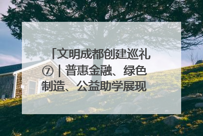 文明成都创建巡礼⑦｜普惠金融、绿色制造、公益助学展现城市文明底色