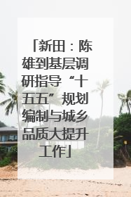 新田：陈雄到基层调研指导“十五五”规划编制与城乡品质大提升工作